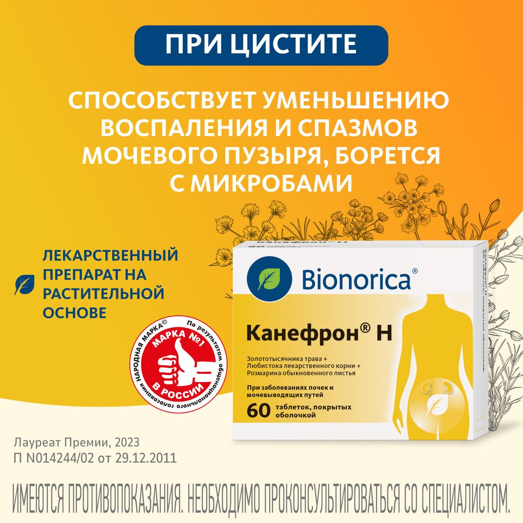 Канефрон Н, таблетки, покрытые оболочкой, 60 шт.